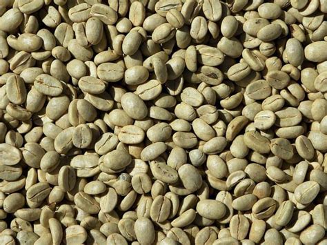 where to buy the best green coffee beans