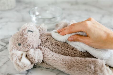 Where To Clean Stuffed Animals
