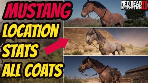 where to find mustang horses in rdr2