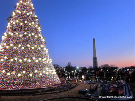 Where To Get Christmas Trees In Dc