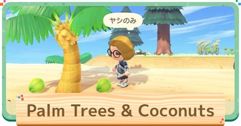 Where To Get Coconuts In Animal Crossing