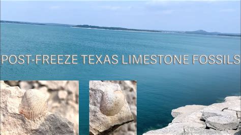 where to look for fossils in texas
