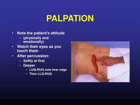 where to palpate liver