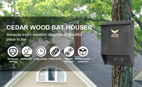 Where To Put A Bat Outside