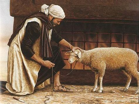 where were passover lambs raised