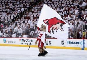 where will the phoenix coyotes move to