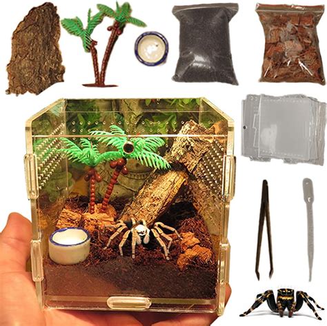 Where Would A Spider Hide In A Bedroom