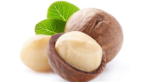 Summer Health Snack On Macadamia Nuts To Reap These Health Benefits OnlyMyHealth