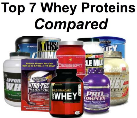 Whey Protein Best Type
