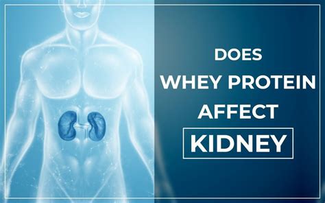 Whey Protein Isolate Bad For Kidneys