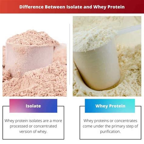 Whey Protein Concentrate or Isolate. Which on to choose?