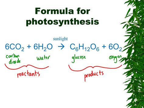 Which Is The Correct Chemical Equation For Photosynthesis