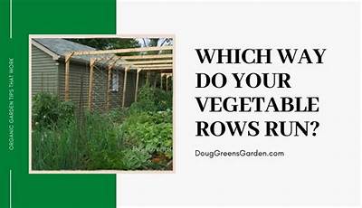 Which Direction Should You Plant Your Garden Rows