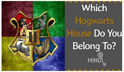 Which Hogwarts House Do You Belong In Quiz Pottermore WHAT HOGWARTS HOUSE