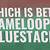 which is better gameloop or bluestacks