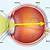 which part of the eye is responsible for focusing light on the retina?