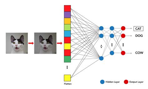 which algorithm is used for image recognition