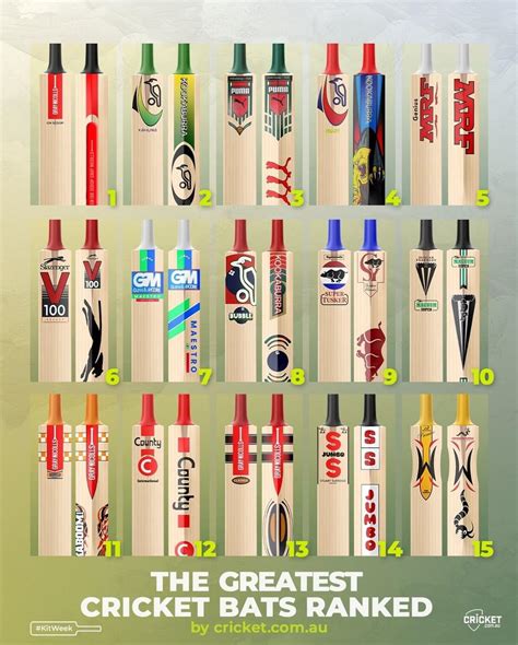 Which Bats Do Cricketers Use