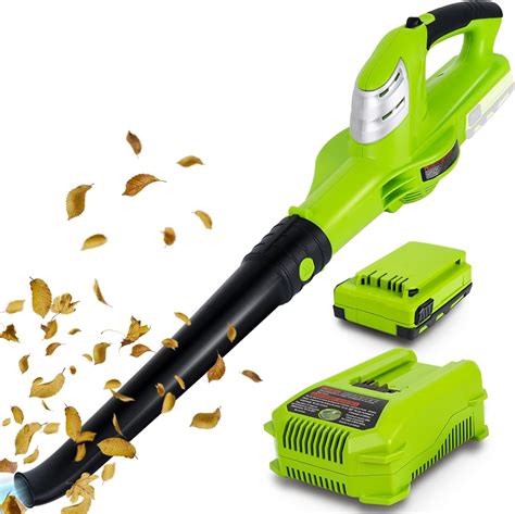 Which Battery Powered Leaf Blower Is Best