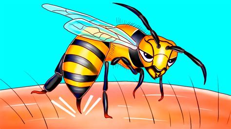 which bees can only sting once