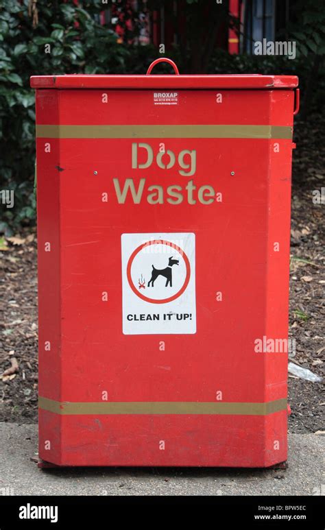 Which Bin Do You Put Dog Waste In