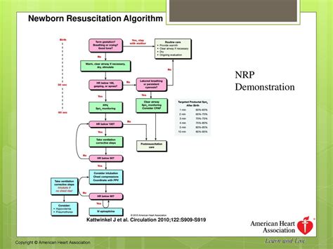 which block of the nrp algorithm