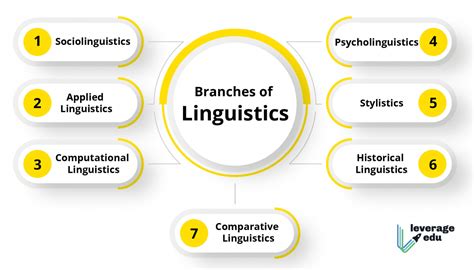 which branch of linguistics studies the structure and rules of sentence formation in a language