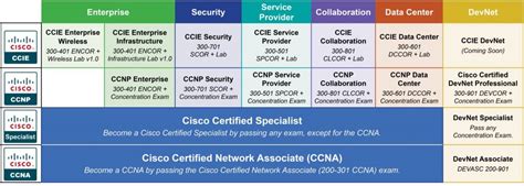 which ccnp concentration is best