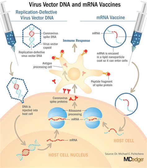 which covid vaccines are mrna based