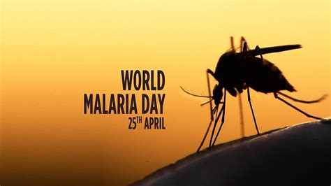 which day is celebrated as world malaria day