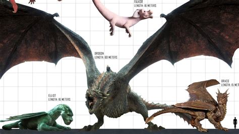 which dragon was the biggest