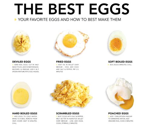which egg is the healthiest