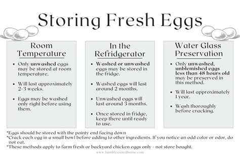 Which End To Store Eggs