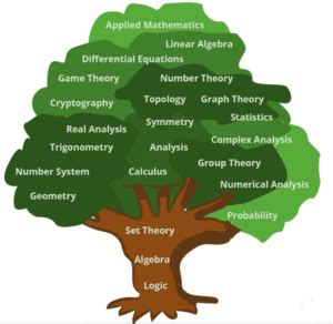 which engineering branch has more mathematics