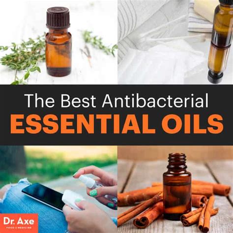 Which Essential Oils Antibacterial