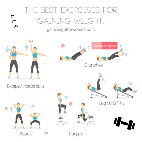 Free Which Exercises Are Best For Weight Gain For Everyday