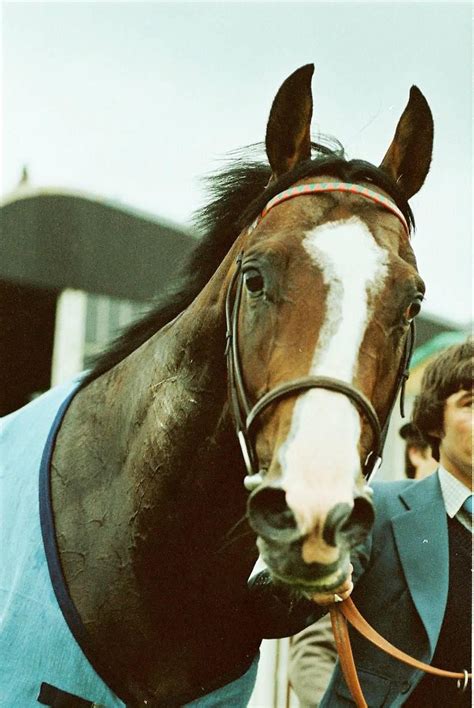 which famous race horse was stolen