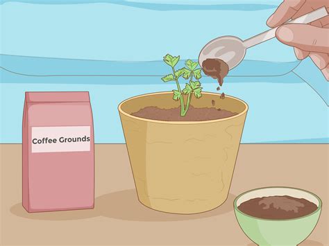 Which Fertilizer Makes Plants Grow Faster