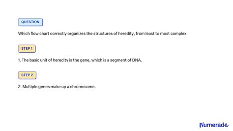 Which Flow Chart Correctly Organizes The Structures Of Heredity