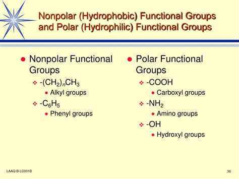 Which Functional Groups Are Hydrophobic