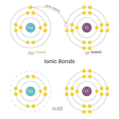 Which Groups Form Ionic Bonds