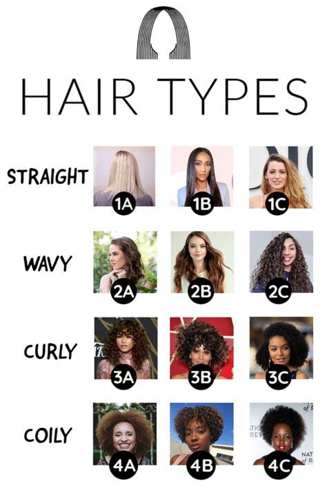 Free Which Hair Type Is The Most Common With Simple Style