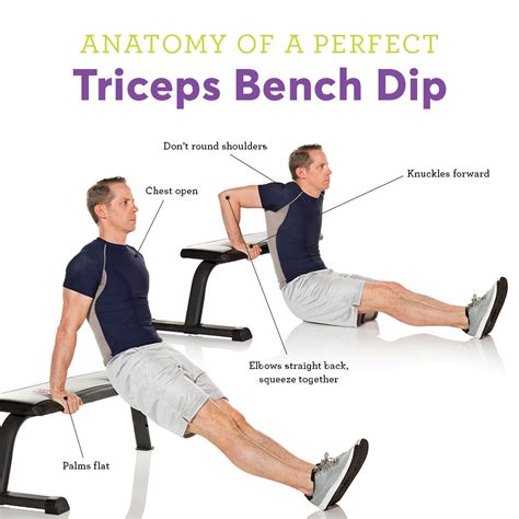 Which Head Of The Triceps Do Dips Work