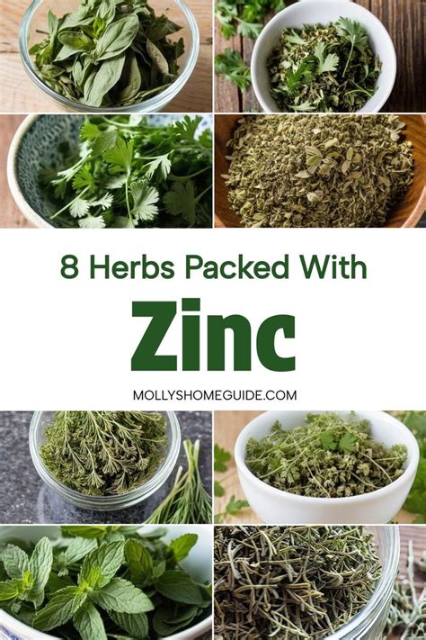 Which Herb Has Zinc