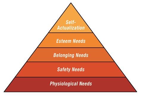 which human need is considered basic