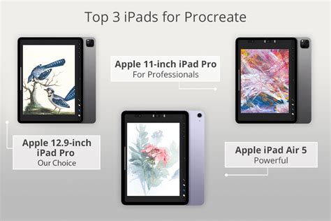 Which Ipads Can Have Procreate