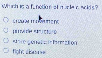Which Is A Function Of Nucleic Acids Create Movement