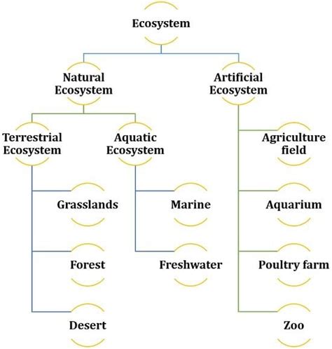 which is artificial ecosystem in the following