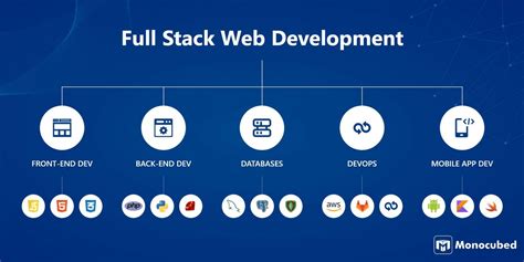 which is best full stack developer or web development
