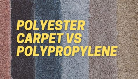 Which Is Better Polyester Or Polypropylene Carpet